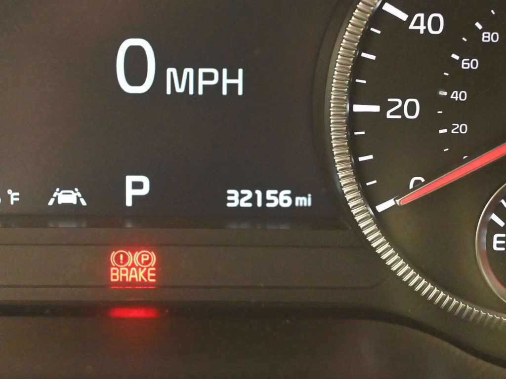 2022 Dark Moss Kia Telluride SX AWD SUV