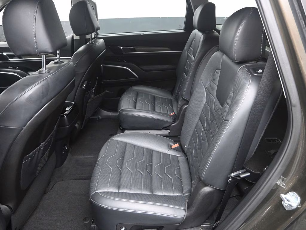 2022 Dark Moss Kia Telluride SX AWD SUV