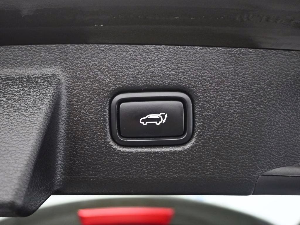 2022 Dark Moss Kia Telluride SX AWD SUV