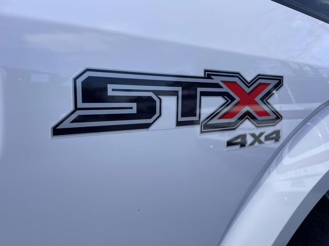 2019 Oxford White Ford F-150 XL 4X4 Truck