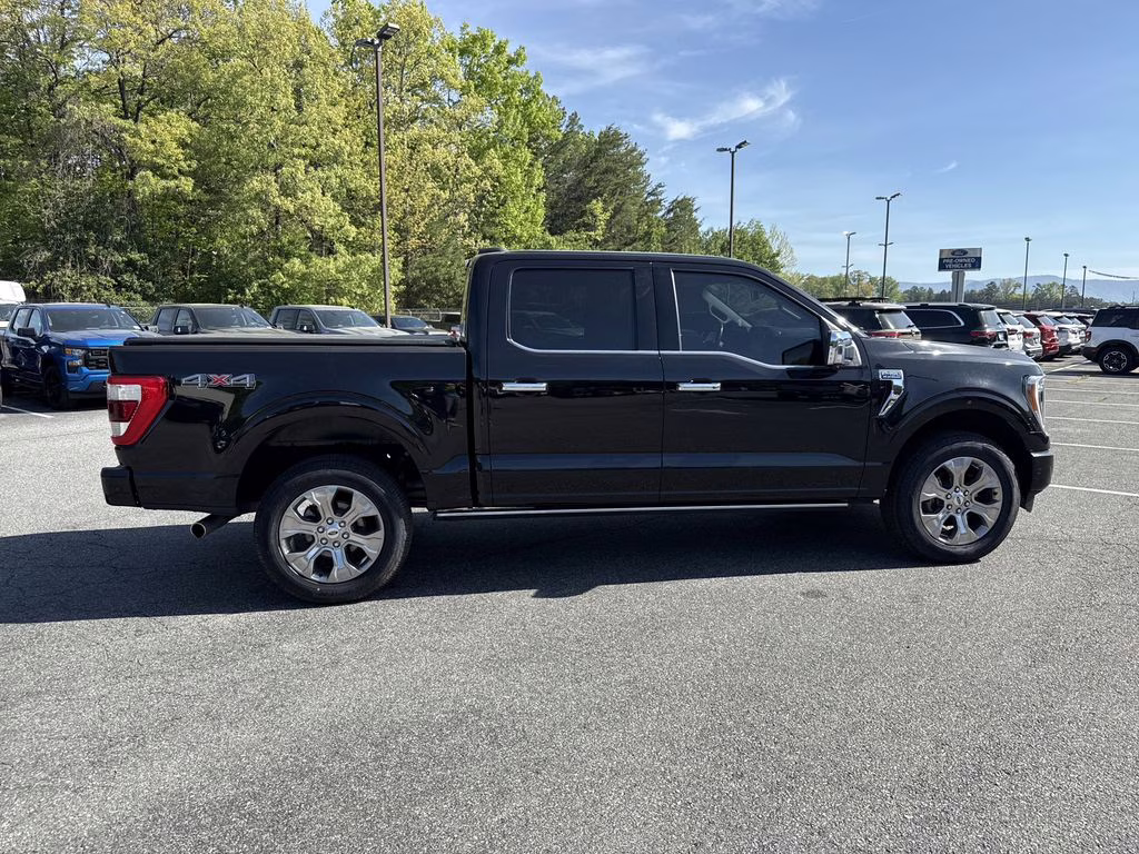 2023 Agate Black Metallic Ford F-150 Platinum 4X4 Truck