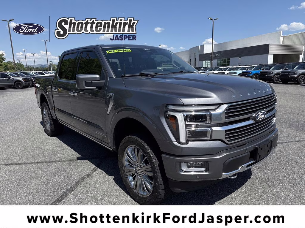 2024 Carbonized Gray Metallic Ford F-150 Platinum 4X4 Truck