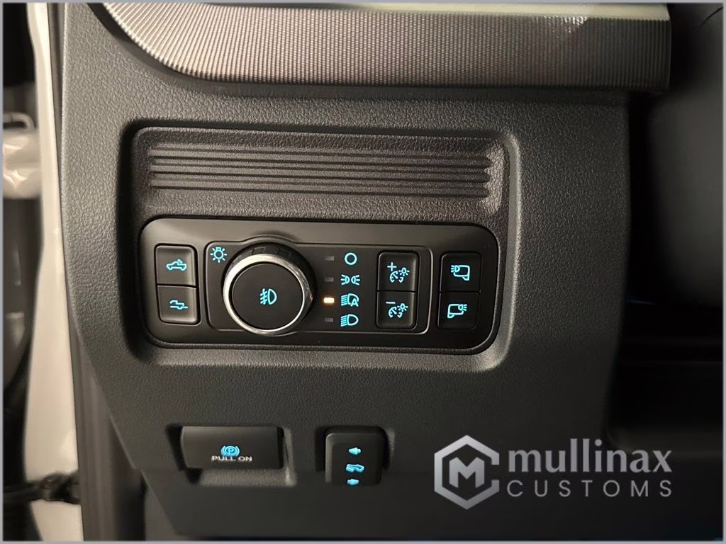 2026 Avalanche Ford Super Duty F-250 SRW Platinum 4X4 Truck