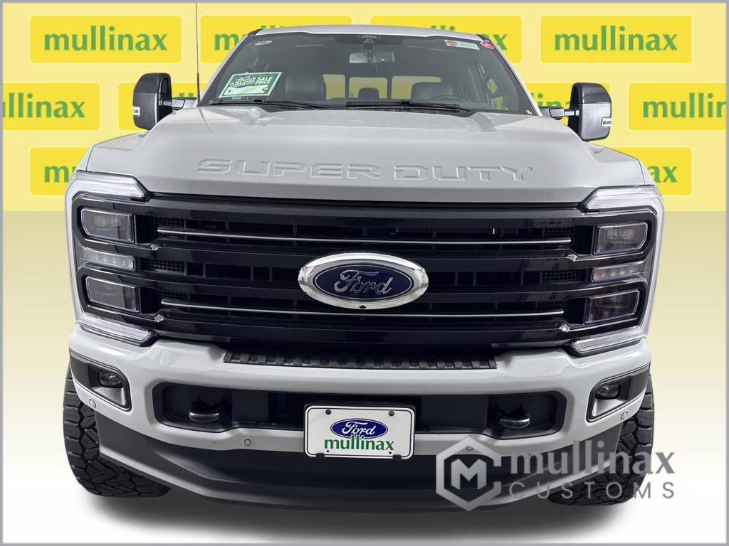 2026 Avalanche Ford Super Duty F-250 SRW Platinum 4X4 Truck
