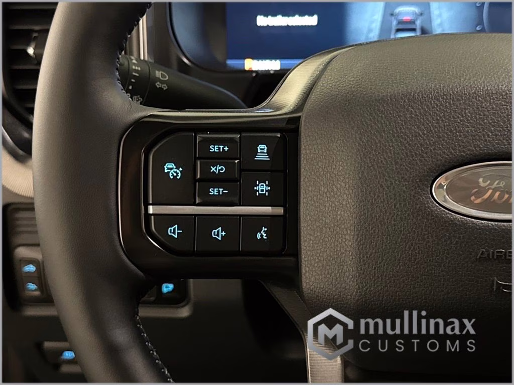 2026 Avalanche Ford Super Duty F-250 SRW Platinum 4X4 Truck