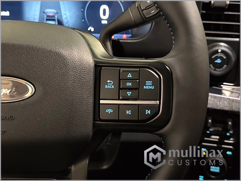 2026 Avalanche Ford Super Duty F-250 SRW Platinum 4X4 Truck