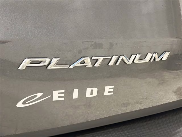 2025 Carbonized Gray Metallic Ford Escape Platinum AWD SUV