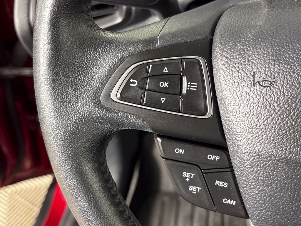 2019 Ruby Red Metallic Ford EcoSport SE FWD SUV