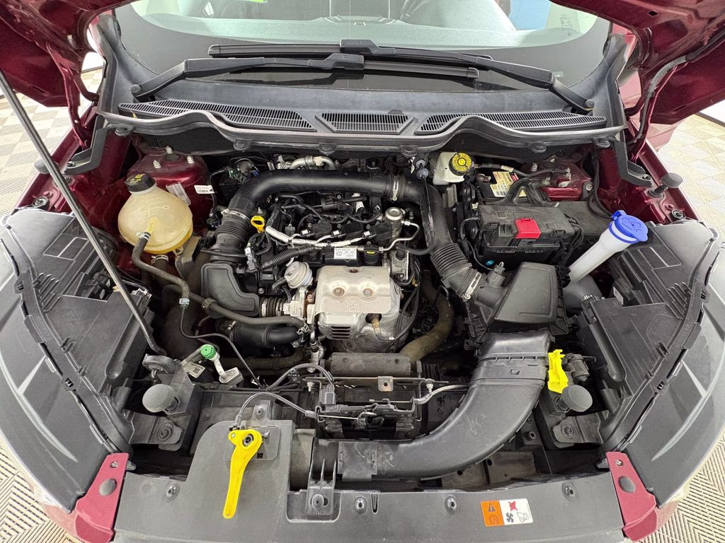 2019 Ruby Red Metallic Ford EcoSport SE FWD SUV