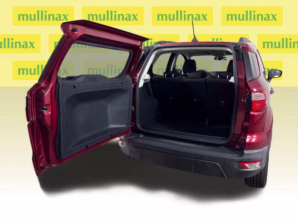 2019 Ruby Red Metallic Ford EcoSport SE FWD SUV