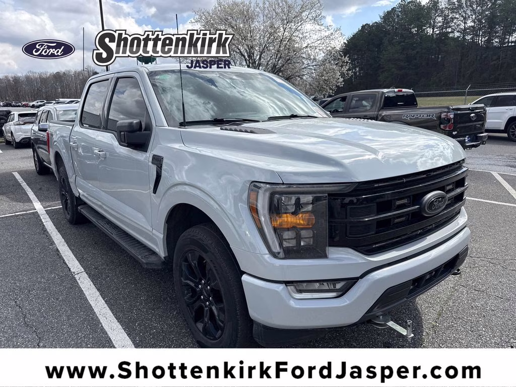 2023 Avalanche Gray Ford F-150 XLT 4X4 Truck