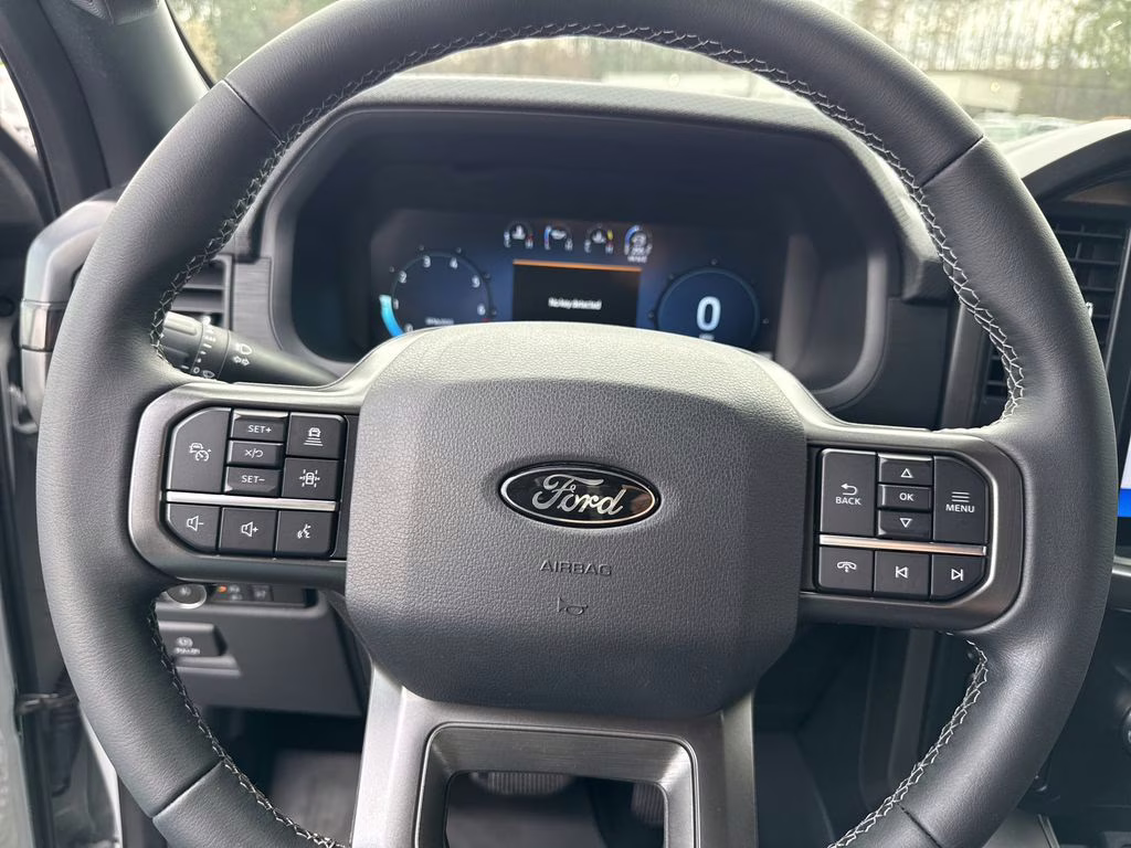 2024 Avalanche Gray Ford F-150 XLT 4X4 Truck