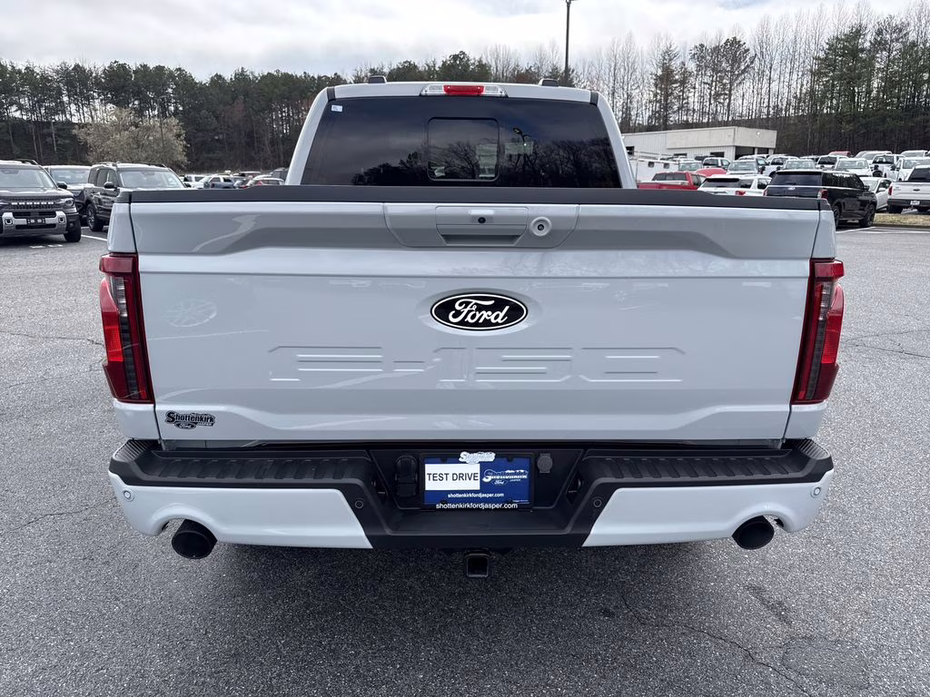 2024 Avalanche Gray Ford F-150 XLT 4X4 Truck