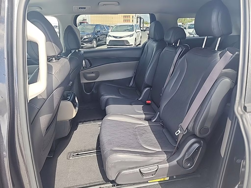 2025 Panthera Metal Kia Carnival LXS FWD Van