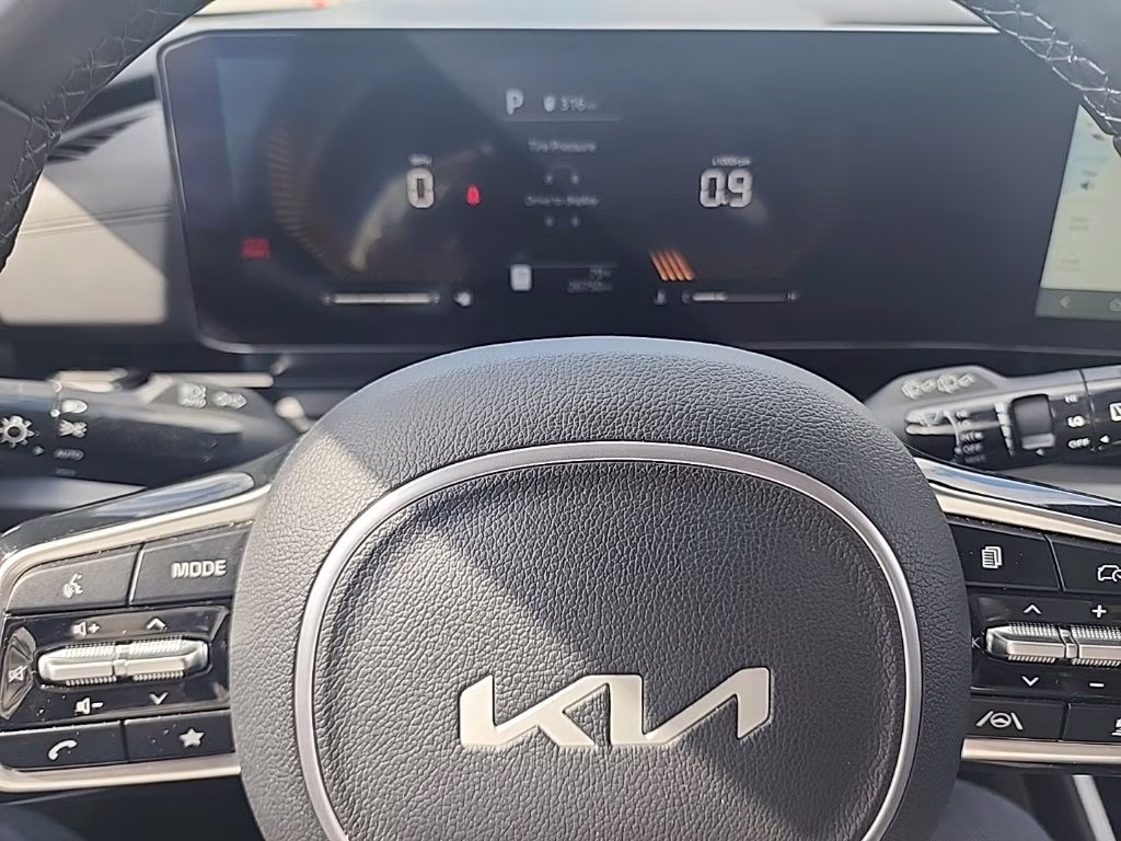 2025 Panthera Metal Kia Carnival LXS FWD Van