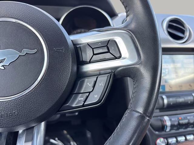 2018 Magnetic Ford Mustang EcoBoost RWD Coupe