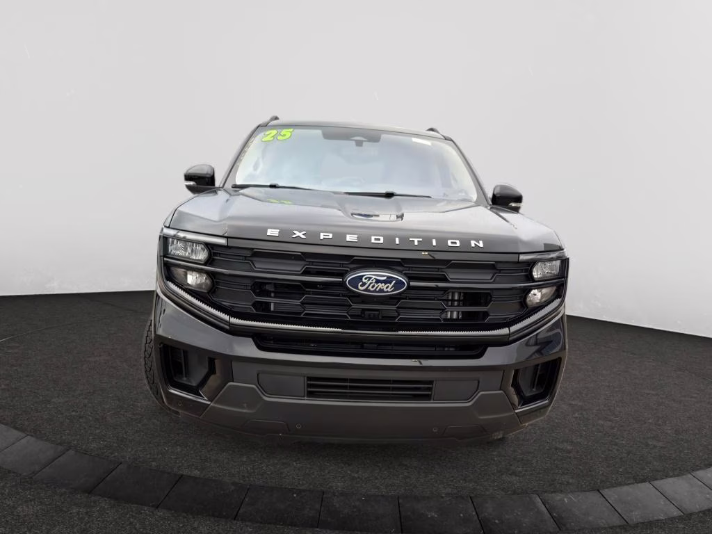 2025 Agate Black Metallic Ford Expedition Active 4X4 SUV