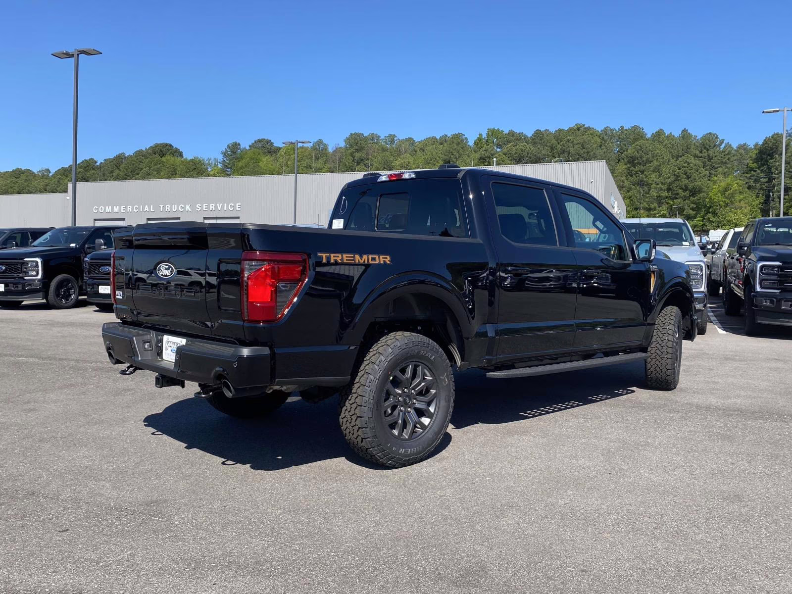 2026 Black Metallic Ford F-150 Tremor 4X4 Truck
