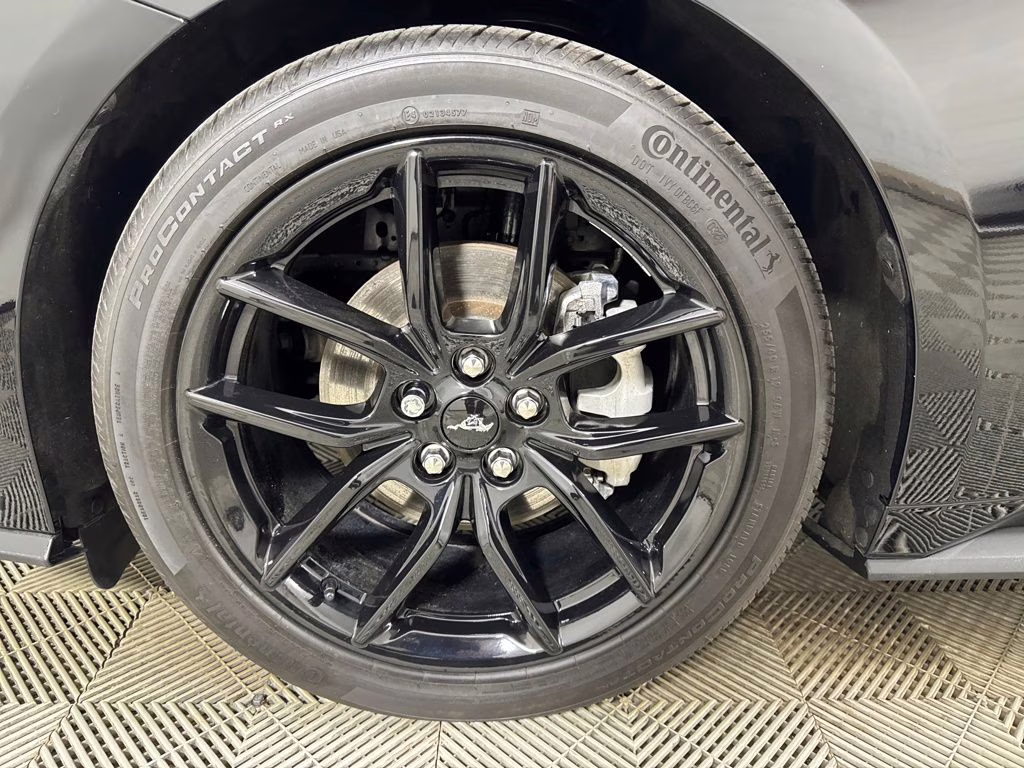 2025 Shadow Black Ford Mustang EcoBoost Premium RWD Coupe