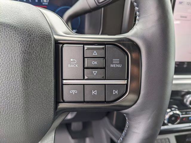 2026 Avalanche Ford Super Duty F-250 SRW Platinum 4X4 Truck