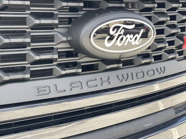 2026 Agate Black Metallic Ford F-150 XLT 4X4 Truck