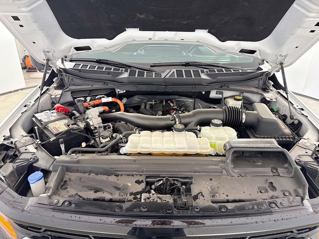 2024 Oxford White Ford F-150 XLT 4X4 Truck