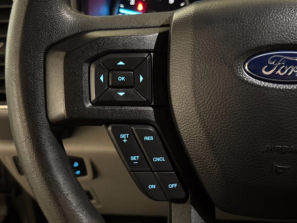 2020 Magnetic Ford F-150 XLT 4X4 Truck