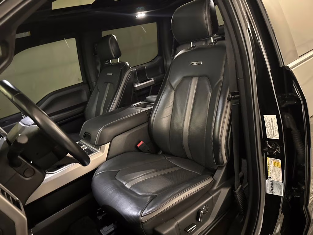 2019 Agate Black Metallic Ford F-150 Platinum RWD Truck