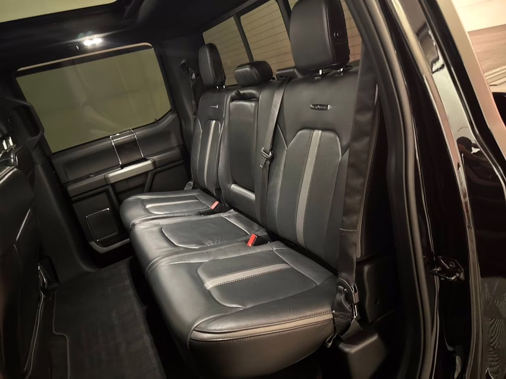 2019 Agate Black Metallic Ford F-150 Platinum RWD Truck