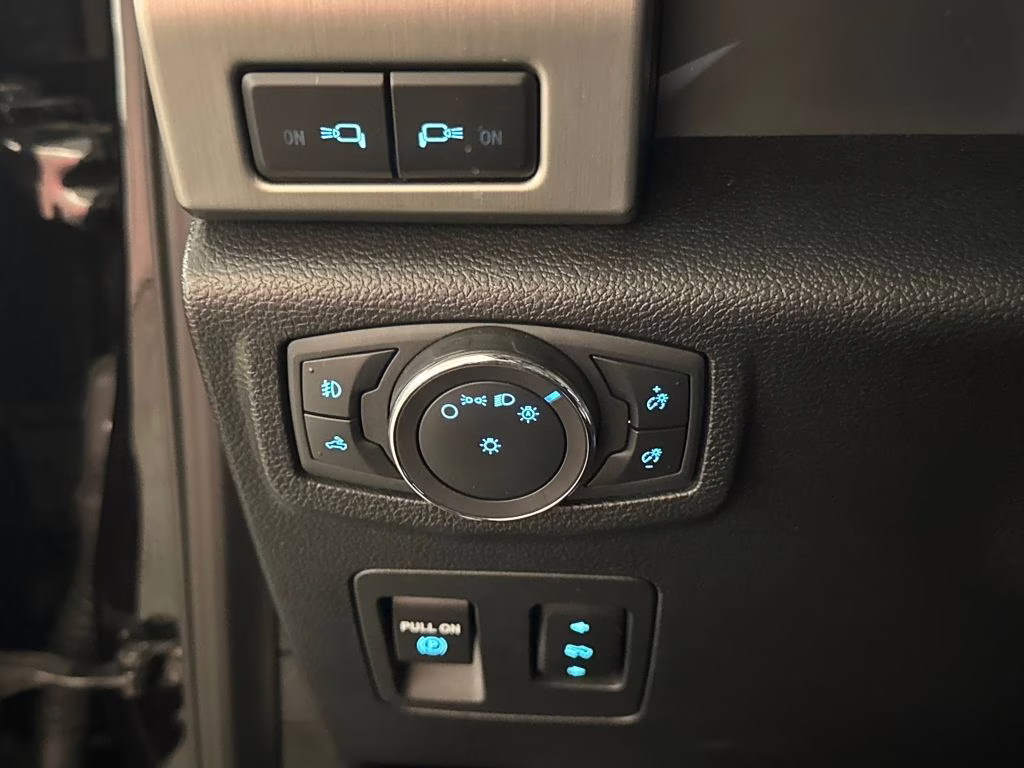 2019 Agate Black Metallic Ford F-150 Platinum RWD Truck