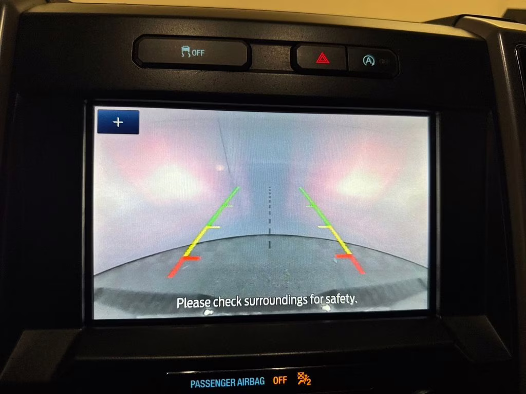 2020 Magnetic Ford F-150 XLT 4X4 Truck