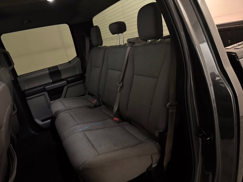 2020 Magnetic Ford F-150 XLT 4X4 Truck