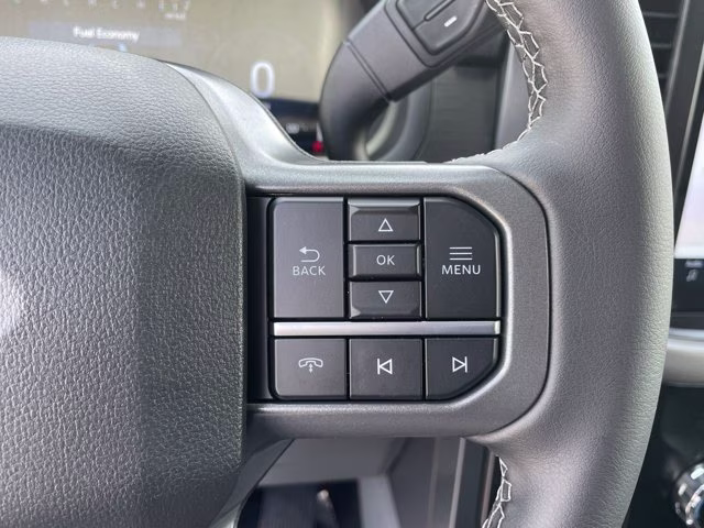 2026 Carbonized Gray Metallic Ford F-150 XLT RWD Truck