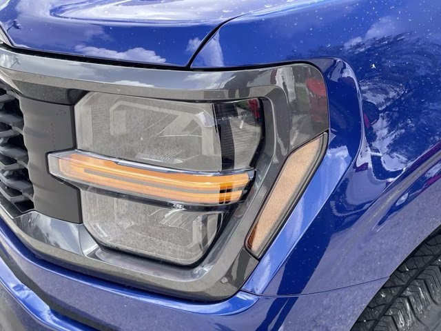 2026 Argon Blue Metallic Ford F-150 STX 4X4 Truck