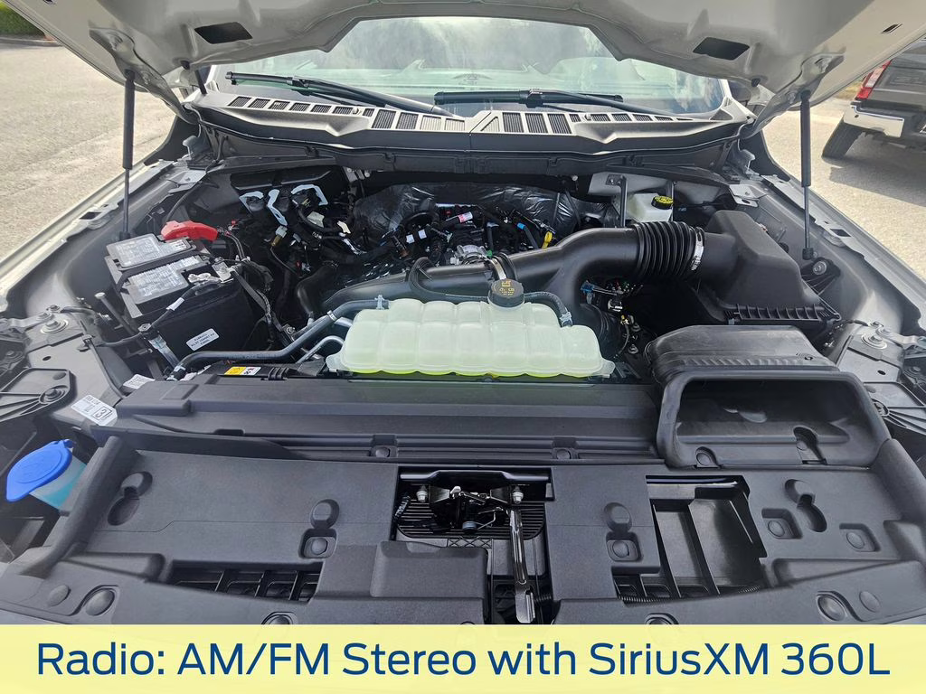 2026 Avalanche Ford F-150 STX RWD Truck