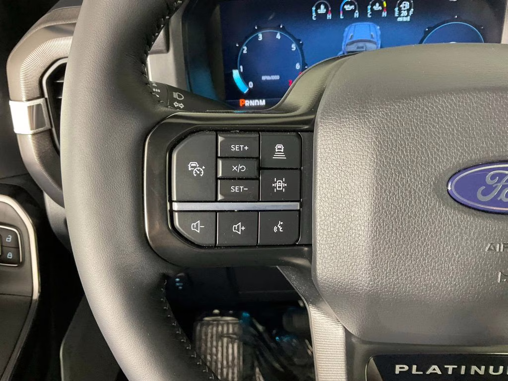 2026 Gray Metallic Ford F-150 Platinum 4X4 Truck