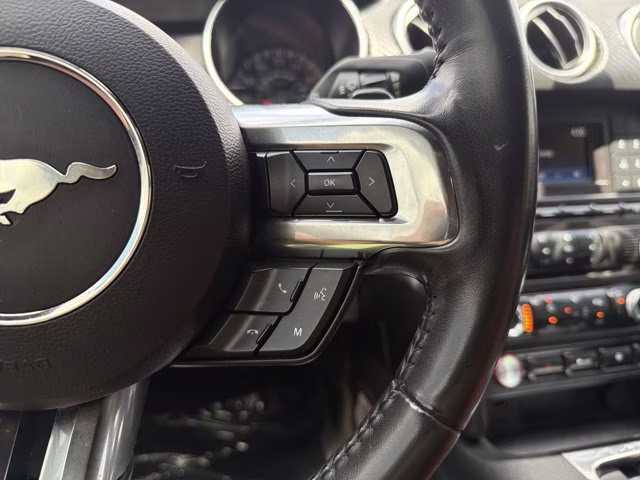 2018 Magnetic Ford Mustang EcoBoost RWD Coupe