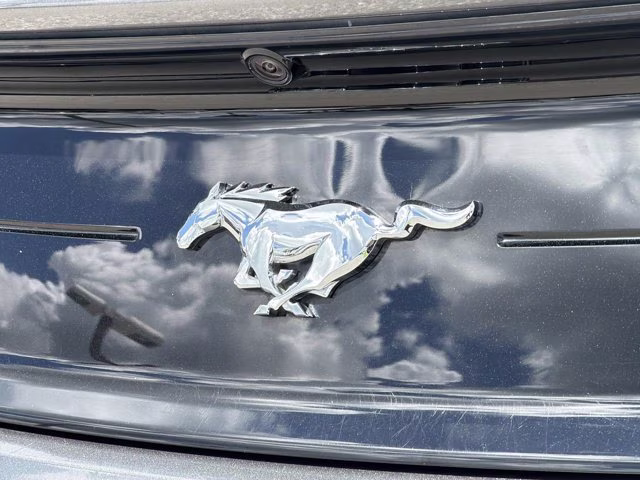 2018 Magnetic Ford Mustang EcoBoost RWD Coupe