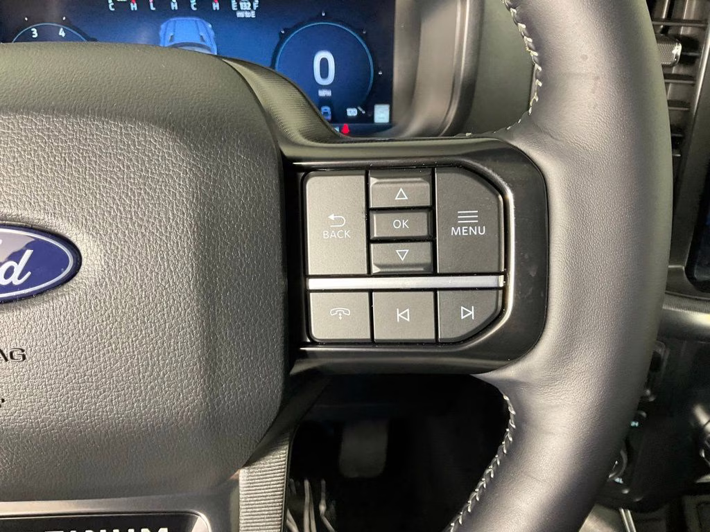 2026 Black Metallic Ford F-150 Platinum 4X4 Truck