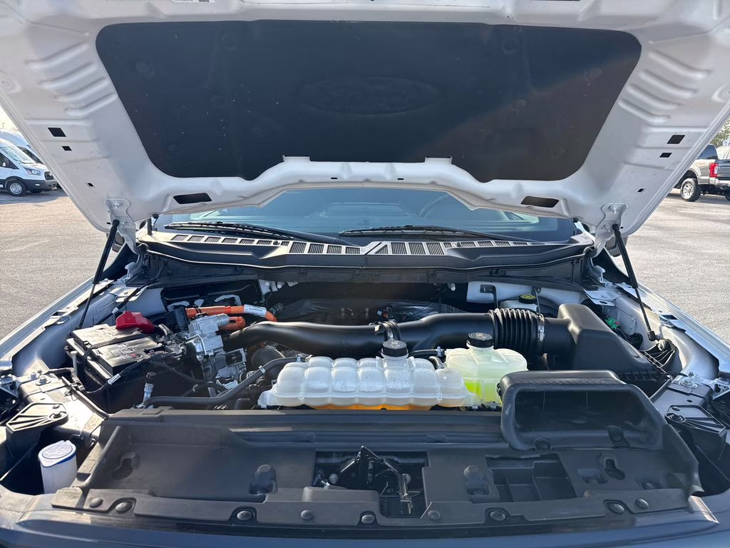 2024 Oxford White Ford F-150 XLT 4X4 Truck