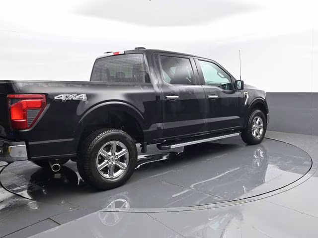 2025 Black Ford F-150 XLT 4X4 Truck