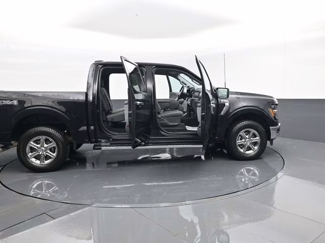 2025 Black Ford F-150 XLT 4X4 Truck