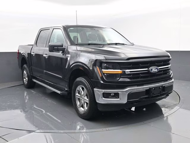2025 Black Ford F-150 XLT 4X4 Truck