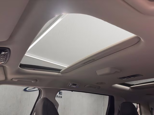 2026 Panthera Metal Kia Carnival SX FWD Van