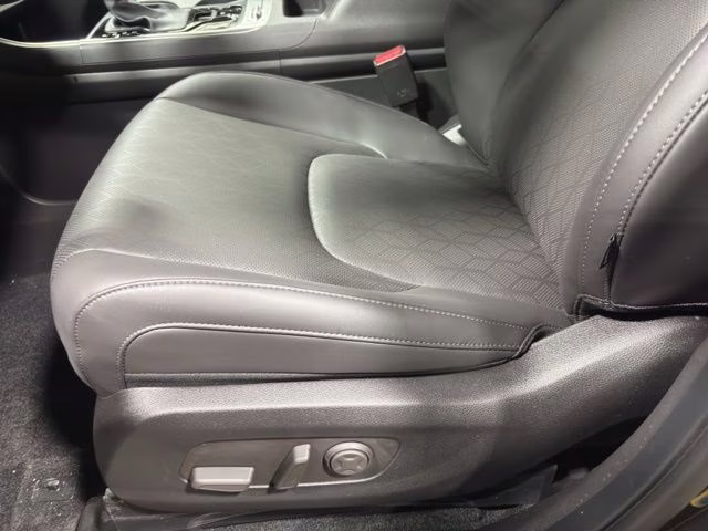 2026 Panthera Metal Kia Carnival SX FWD Van