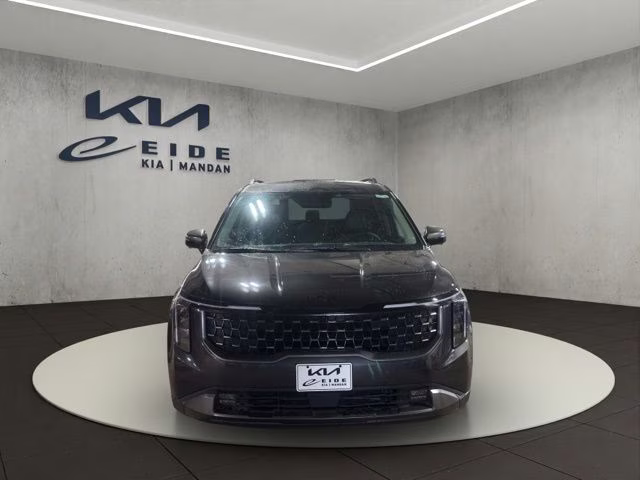 2026 Panthera Metal Kia Carnival SX FWD Van
