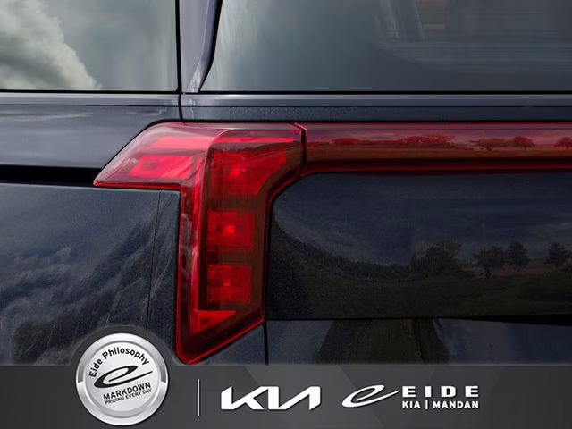 2026 Panthera Metal Kia Carnival SX FWD Van