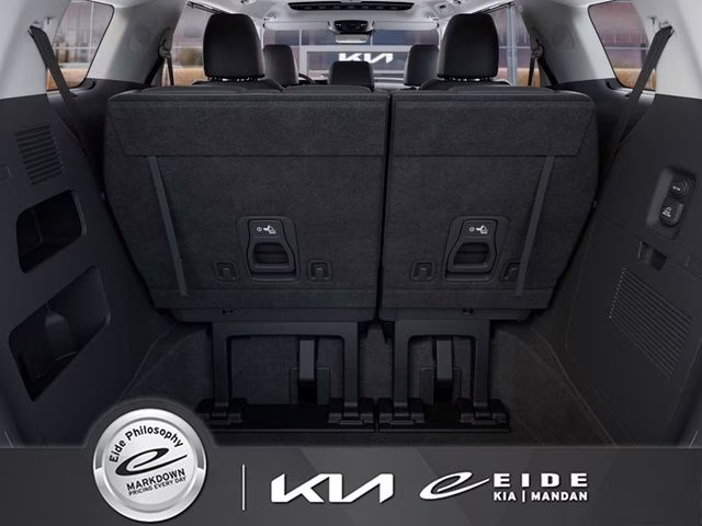 2026 Panthera Metal Kia Carnival SX FWD Van