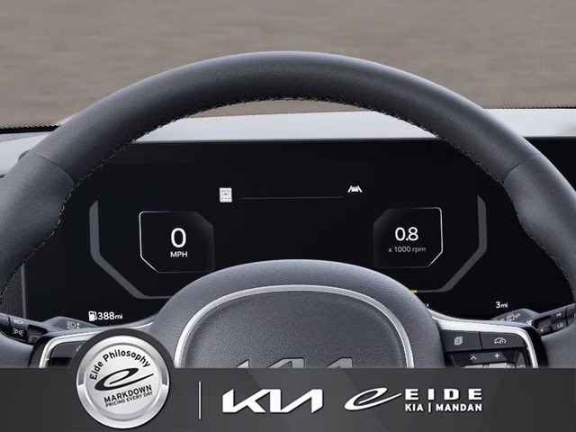 2026 Panthera Metal Kia Carnival SX FWD Van