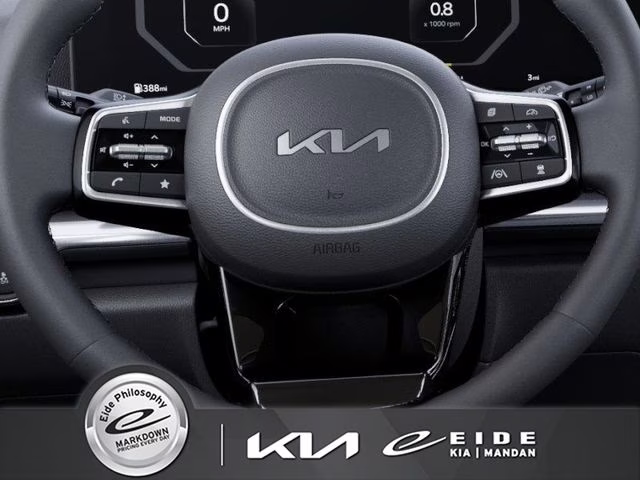 2026 Panthera Metal Kia Carnival SX FWD Van